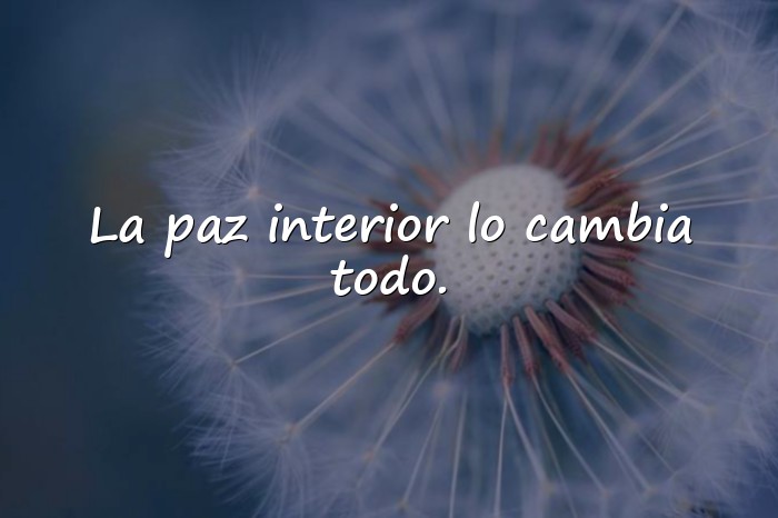 Imágenes frases de la paz - 15