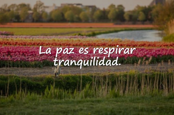 Imágenes frases de la paz - 25