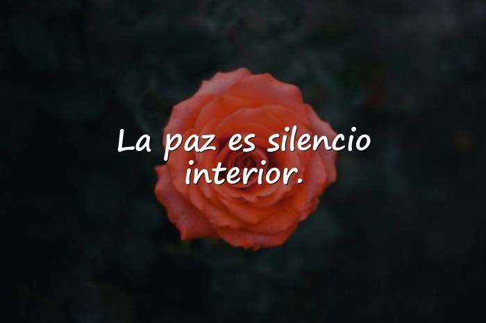 Imágenes frases de la paz - 20