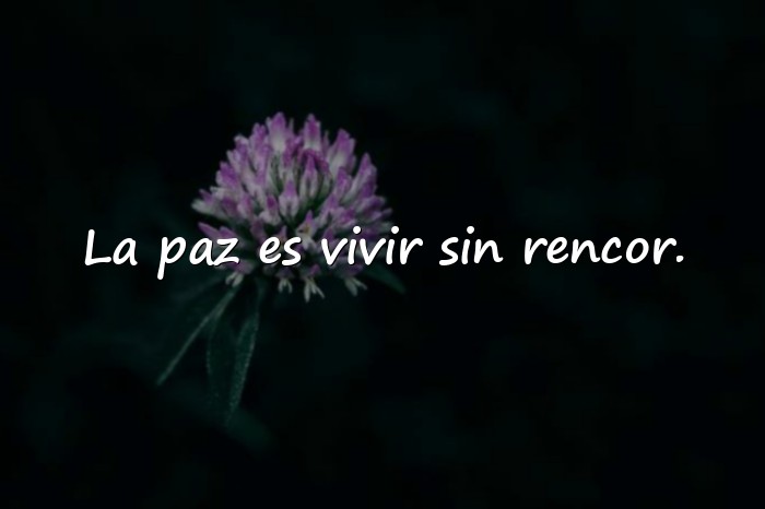 Imágenes frases de la paz - 16