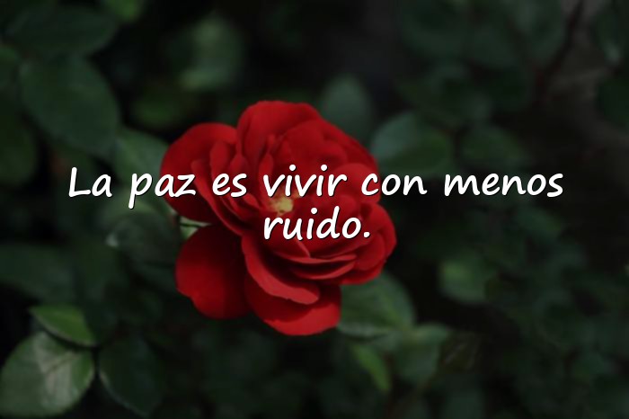 Imágenes frases de la paz - 11