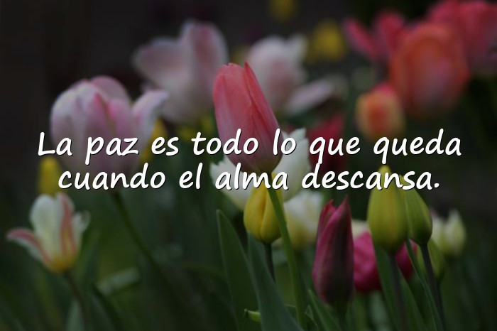 Imágenes frases de la paz - 1
