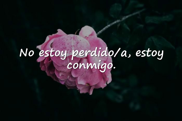 Imágenes frases de la soledad - 17