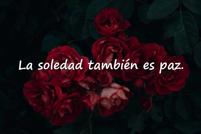 Imágenes frases de la soledad - 9