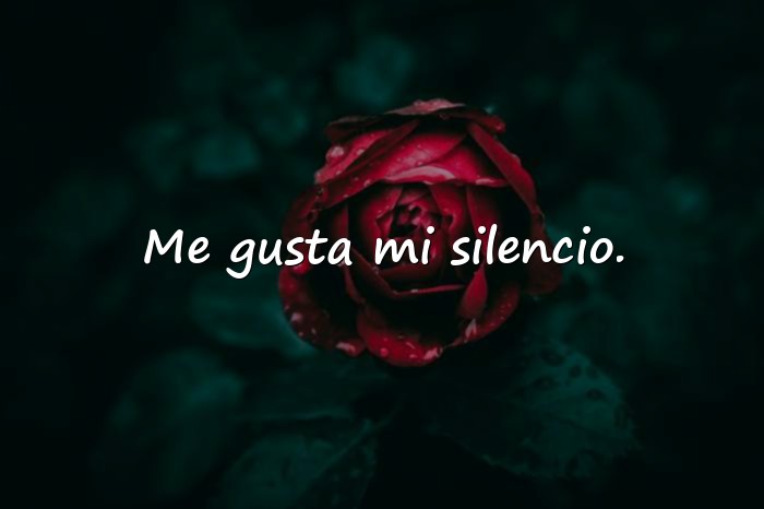 Imágenes frases de la soledad - 4