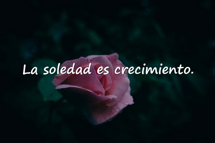 Imágenes frases de la soledad - 24