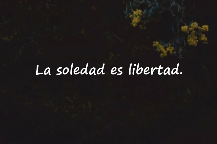 Imágenes frases de la soledad - 19