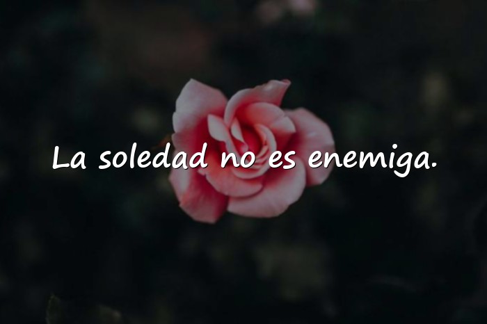 Imágenes frases de la soledad - 15