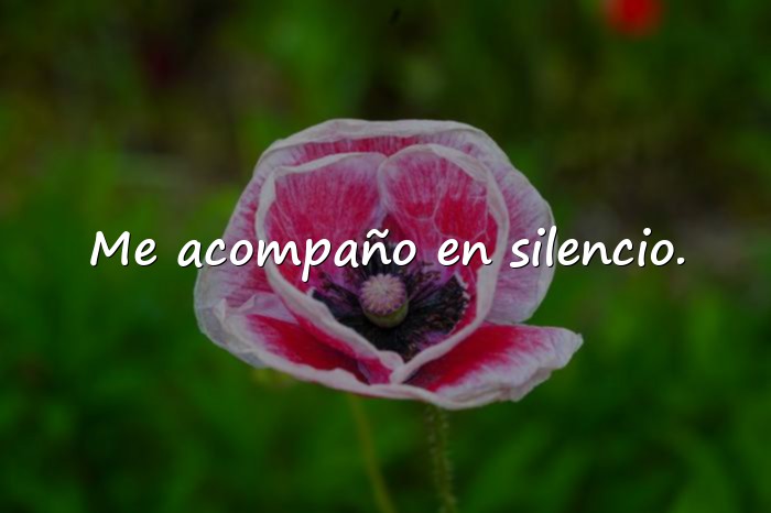 Imágenes frases de la soledad - 6