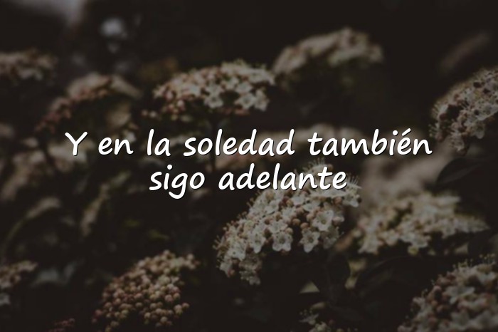 Imágenes frases de la soledad - 1