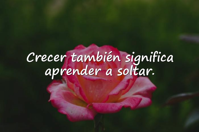 Imágenes frases de la vida - 19