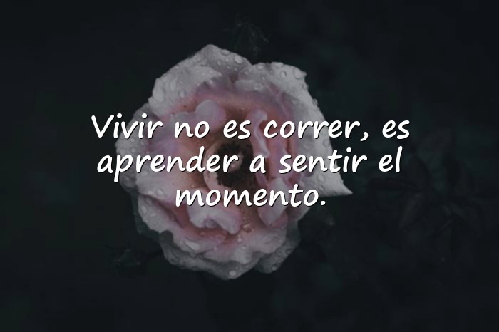 Imágenes frases de la vida - 14