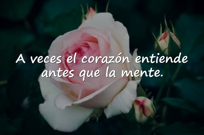 Imágenes frases de la vida - 20