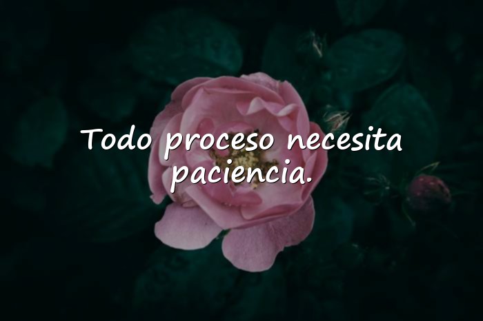 Imágenes frases de la vida - 16