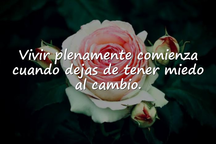 Imágenes frases de la vida - 1
