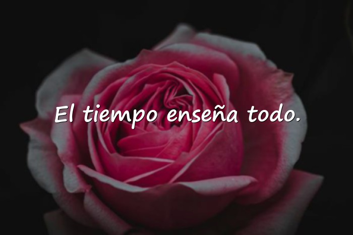 Imágenes frases de la vida cortas - 15