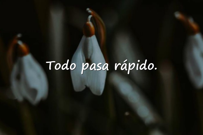 Imágenes frases de la vida cortas - 13