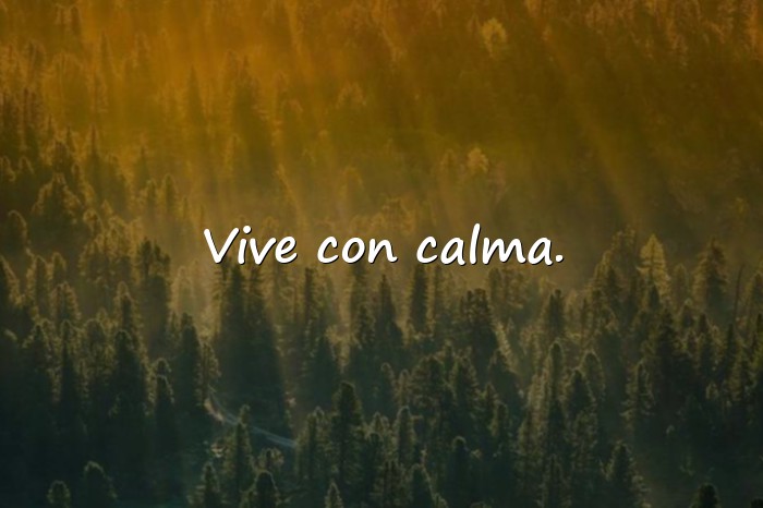 Imágenes frases de la vida cortas - 10