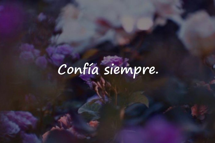 Imágenes frases de la vida cortas - 8