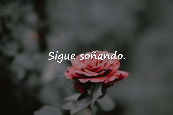 Imágenes frases de la vida cortas - 4
