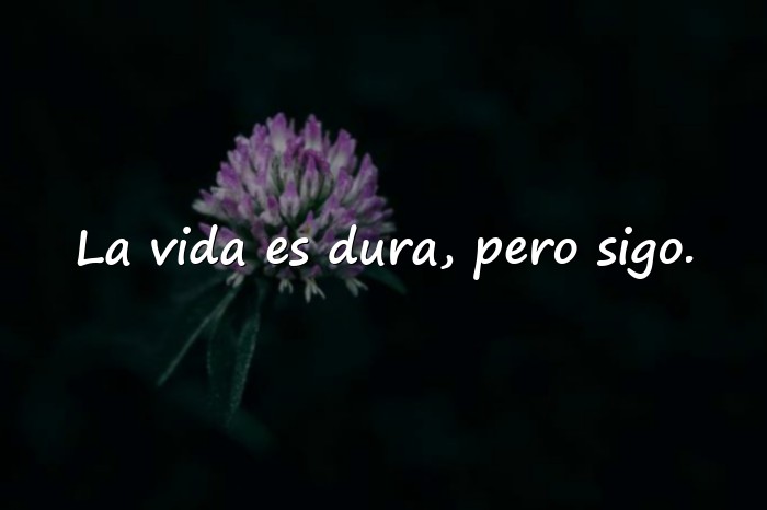 Imágenes frases de la vida dura - 14