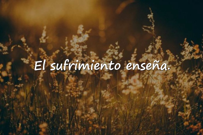 Imágenes frases de la vida dura - 9