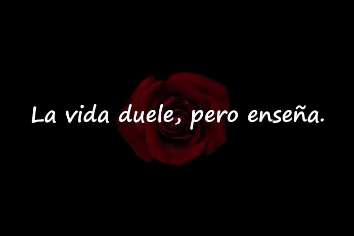 Imágenes frases de la vida dura - 4