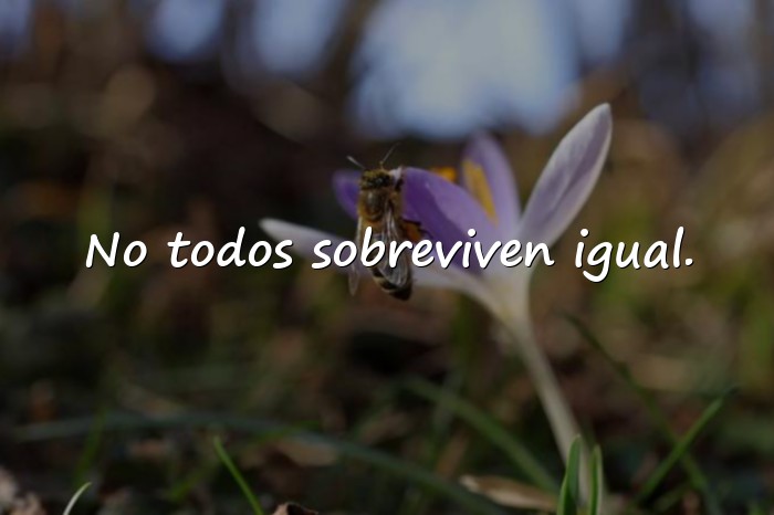 Imágenes frases de la vida dura - 24