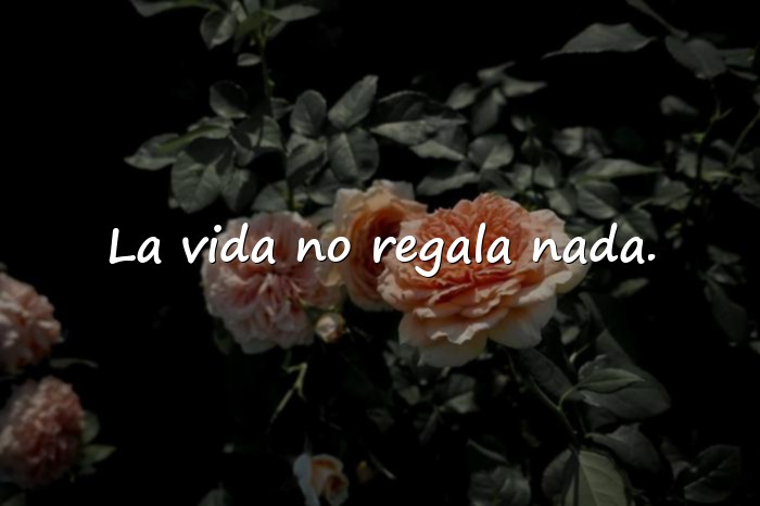 Imágenes frases de la vida dura - 20