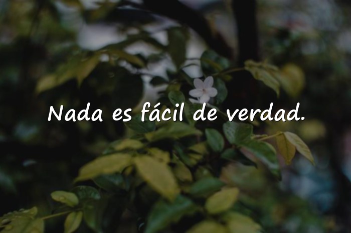 Imágenes frases de la vida dura - 16