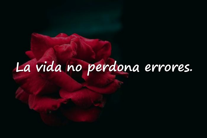 Imágenes frases de la vida dura - 11