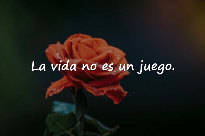 Imágenes frases de la vida dura - 6