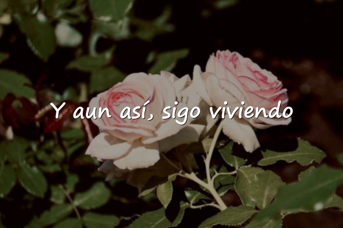 Imágenes frases de la vida dura - 1