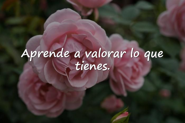 Imágenes frases de la vida para reflexionar - 3