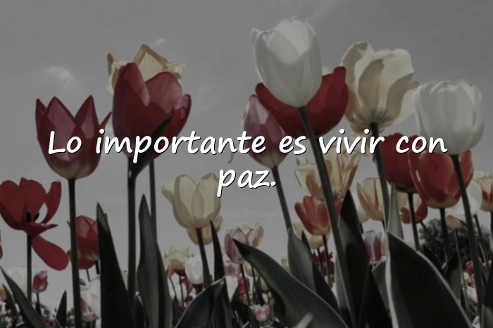 Imágenes frases de la vida para reflexionar - 24