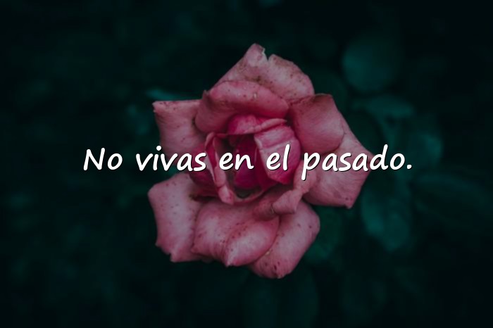 Imágenes frases de la vida para reflexionar - 21