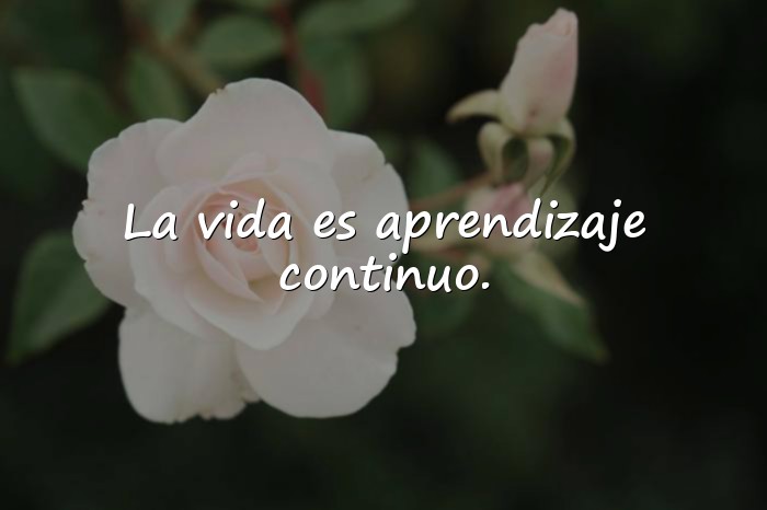 Imágenes frases de la vida para reflexionar - 10