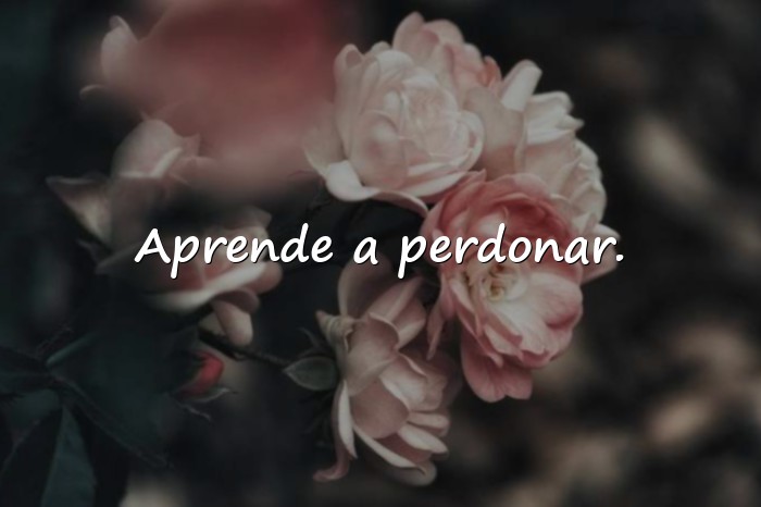 Imágenes frases de la vida para reflexionar - 7