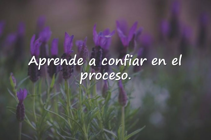 Imágenes frases de la vida para reflexionar - 5