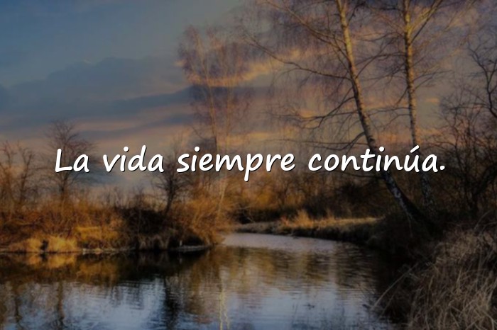Imágenes frases de la vida para reflexionar - 1