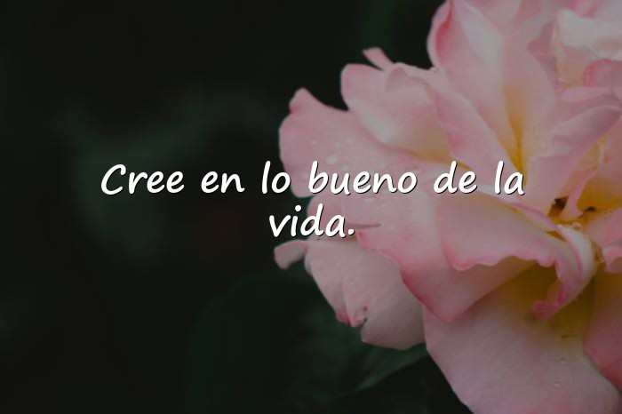 Imágenes frases de la vida positiva - 3