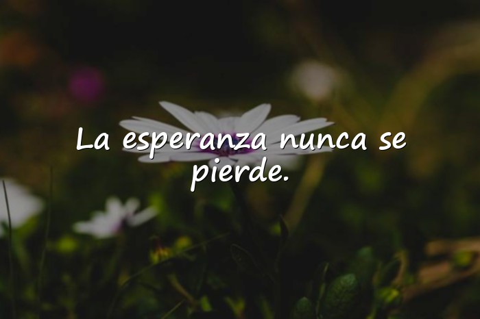Imágenes frases de la vida positiva - 25
