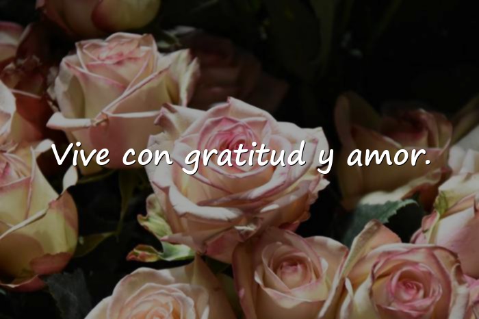 Imágenes frases de la vida positiva - 22