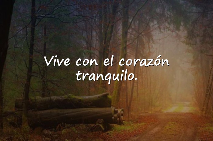 Imágenes frases de la vida positiva - 9
