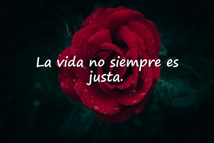 Imágenes frases de la vida real - 17