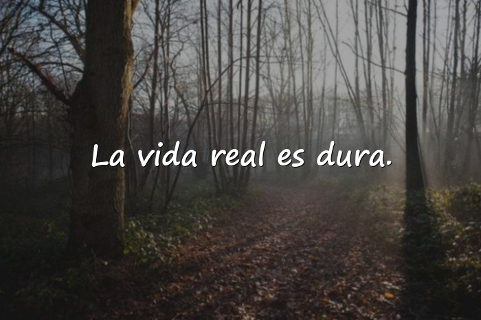 Imágenes frases de la vida real - 12