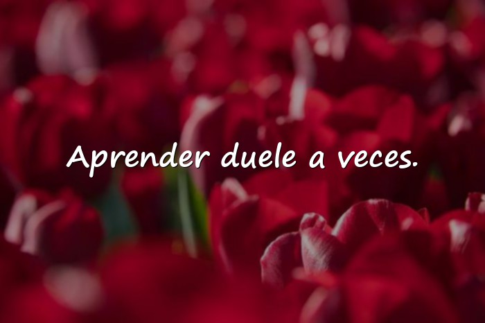Imágenes frases de la vida real - 3