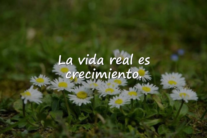 Imágenes frases de la vida real - 24