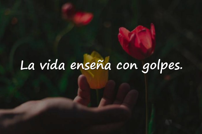 Imágenes frases de la vida real - 21