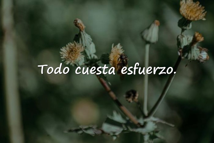 Imágenes frases de la vida real - 16
